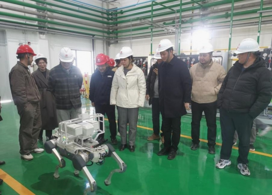 1769736909633444wIi2.jpg 图片1.jpg